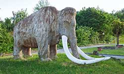 Nussdorf Mammut